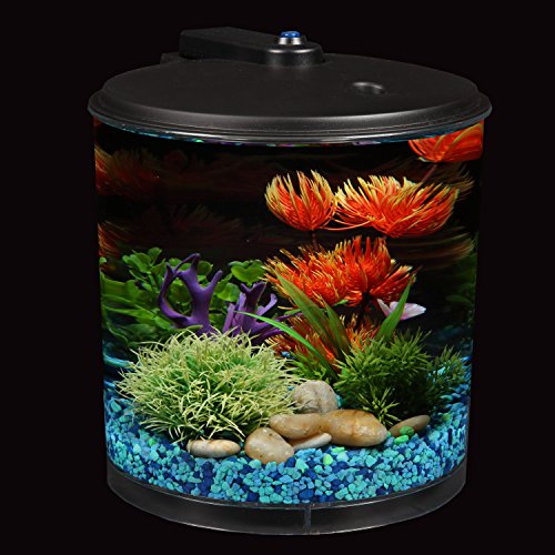 Koller-Products-AquaView-2-Gallon-360-Fish-Tank-with-Power-Filter-and-LED-Lighting-0-3