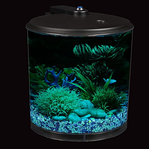 Koller-Products-AquaView-2-Gallon-360-Fish-Tank-with-Power-Filter-and-LED-Lighting-0-5