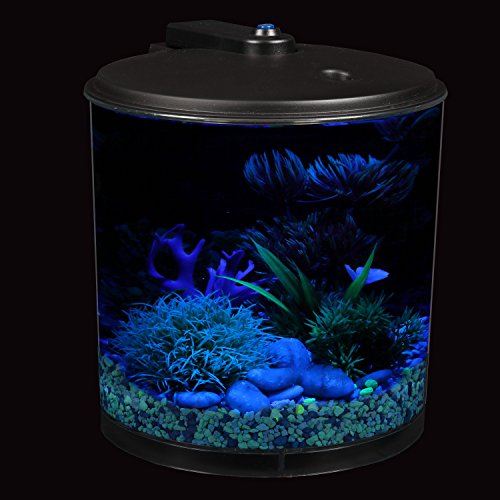 Koller-Products-AquaView-2-Gallon-360-Fish-Tank-with-Power-Filter-and-LED-Lighting-0-6