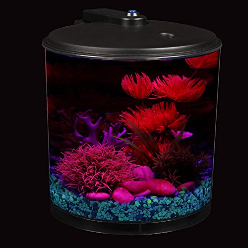 Koller-Products-AquaView-2-Gallon-360-Fish-Tank-with-Power-Filter-and-LED-Lighting-0-8