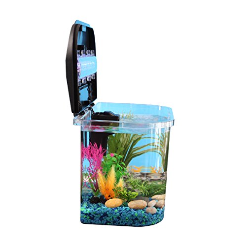 Koller-Products-Panaview-5-Gallon-Aquarium-Kit-with-LED-Lighting-and-Power-Filter-0-0