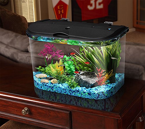 Koller-Products-Panaview-5-Gallon-Aquarium-Kit-with-LED-Lighting-and-Power-Filter-0-3