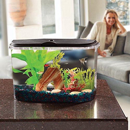 Koller-Products-Panaview-5-Gallon-Aquarium-Kit-with-LED-Lighting-and-Power-Filter-0-4