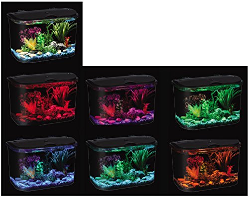 Koller-Products-Panaview-5-Gallon-Aquarium-Kit-with-LED-Lighting-and-Power-Filter-0-5