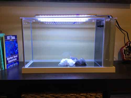 online forums online forums