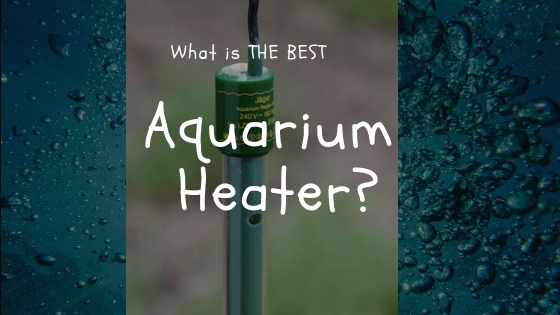 best aquarium heater