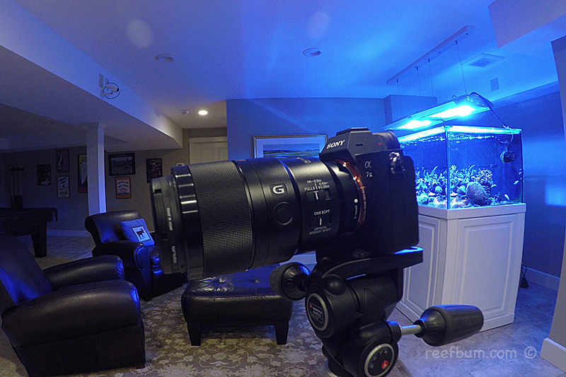 Best Camera For a Reef Tank? WZaquarium