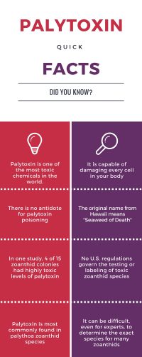 palytoxin quick facts info graphic