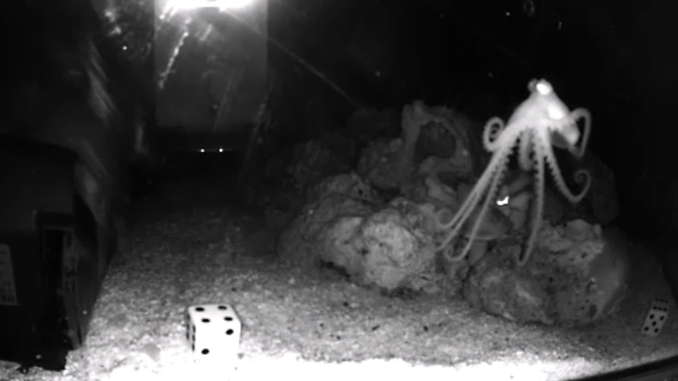 Andrew M. Cuomo Andrew M. Cuomo