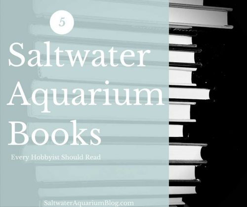 5 Saltwater Aquarium Books Every Hobbyist Should Read