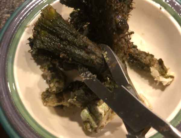 Using bone shears to cut a branch of LPS coral at the base