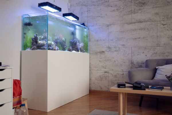 nice corner location for a new saltwater tank