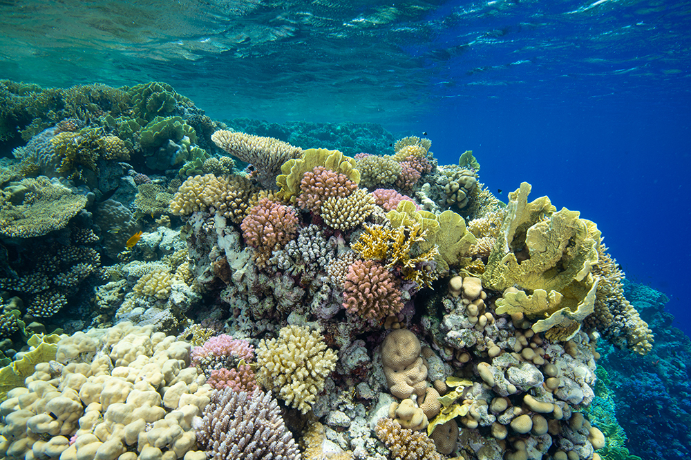 Climate change in Guam Climate change in Guam