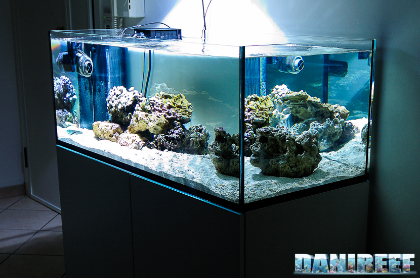 reef aquarium