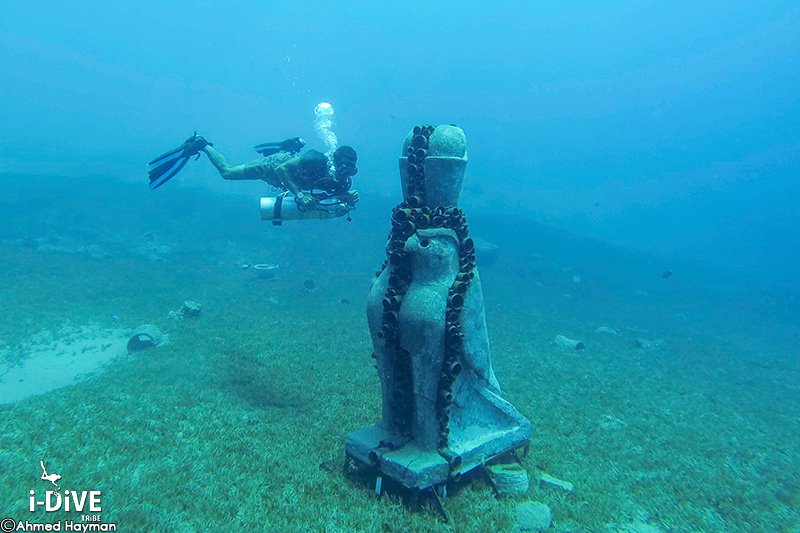 10599533_598797240230764_1018825868129224817_n