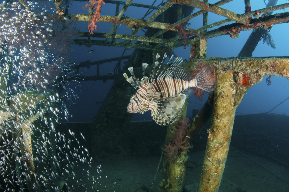 Fictional characters Fictional characters