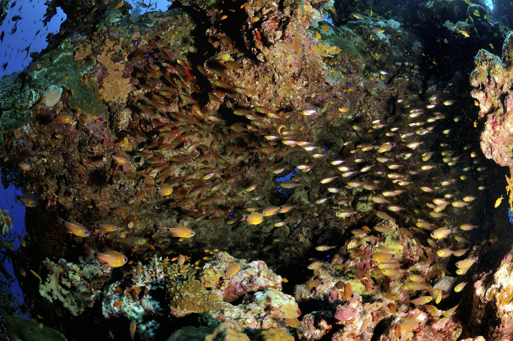 Hun and po Hun and po