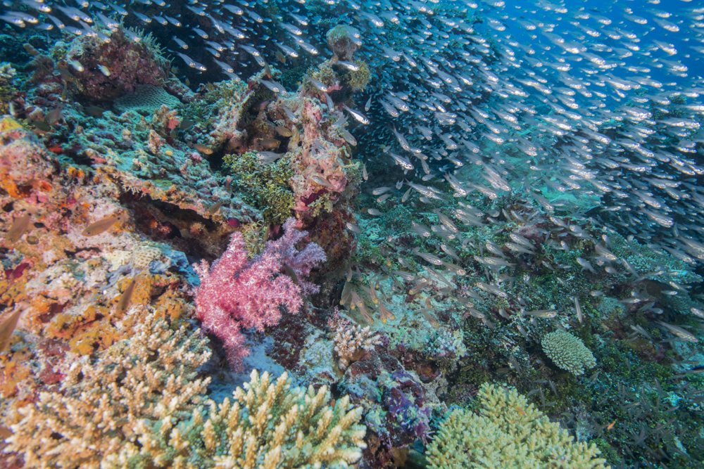 Provinces of Italy Provinces of Italy