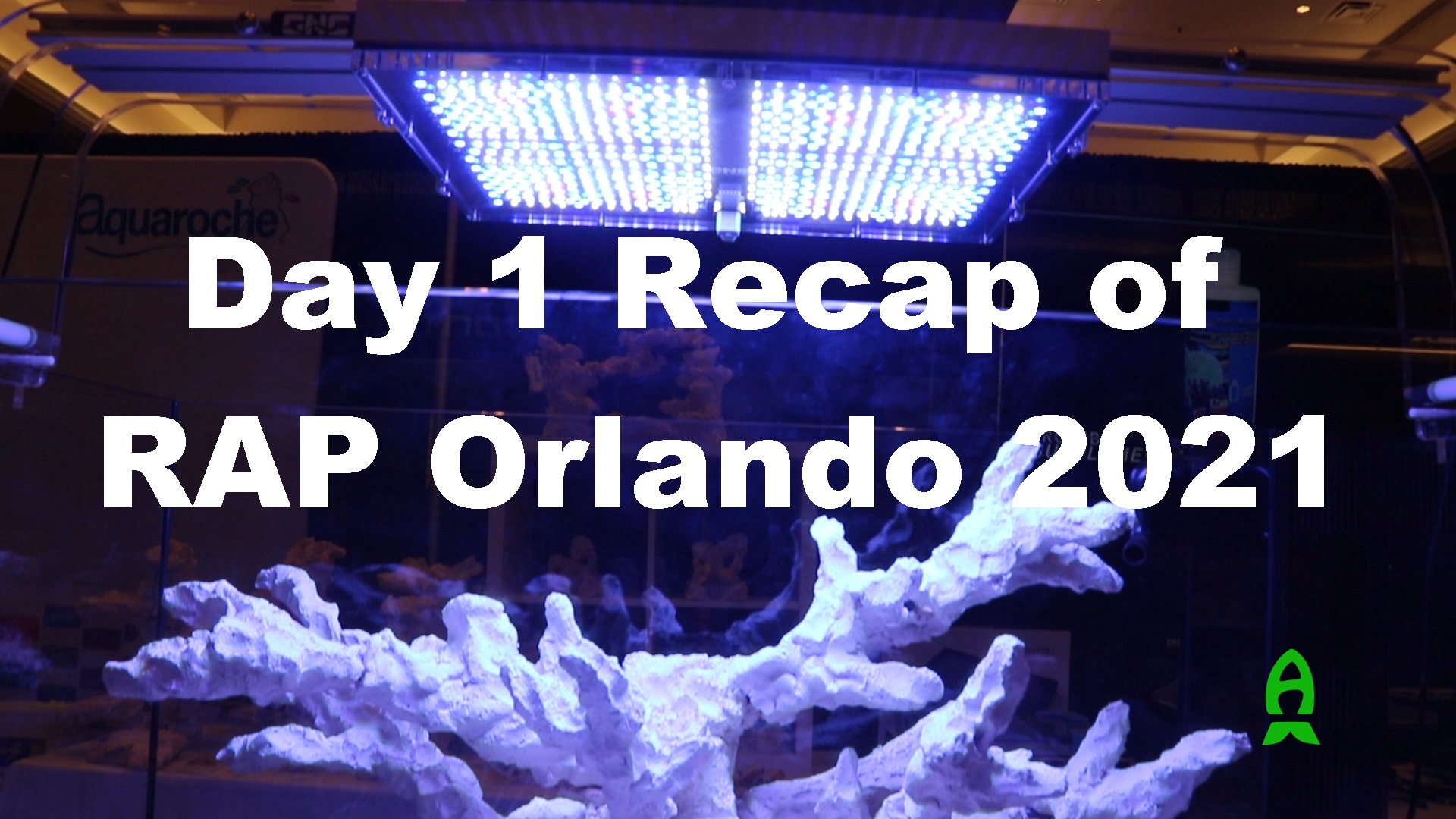 Reef A Palooza Orlando Day 1 Recap. Favorite Corals and New Equipment