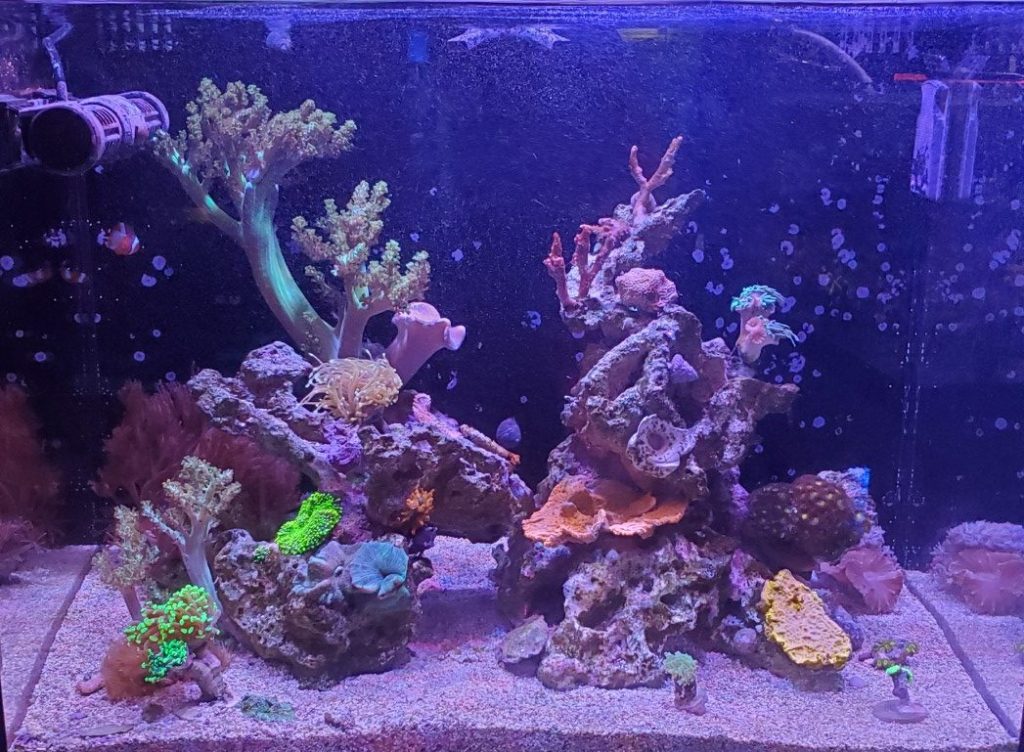 Alternative education Alternative education