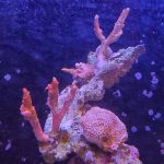 chemical treatment chemical treatment