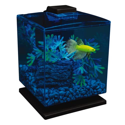 Tetra GloFish Betta Aquarium Kit