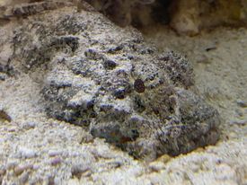 Hospitality Recreation