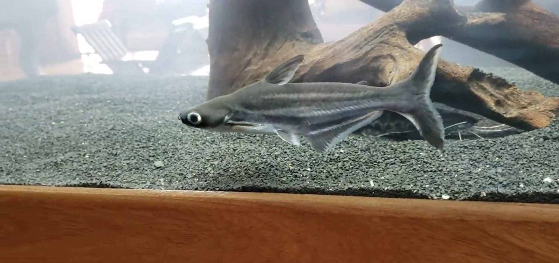 Compatibility Compatibility