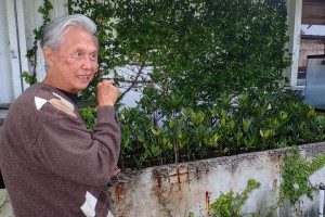 reefs.comPabloMangrove