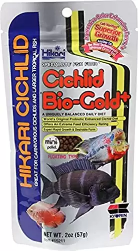 Our Care Guide for the Severum Cichlid (Tank Mates + More) 3 Hikari 2-Ounce Cichlid Bio-Gold and Floating Pellets for Pets, Mini